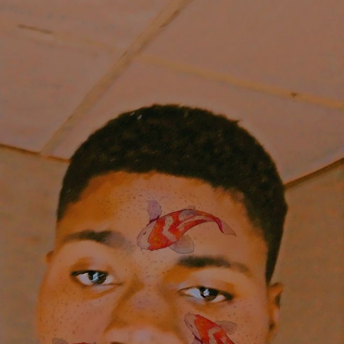 Olaniyi  O. profile photo