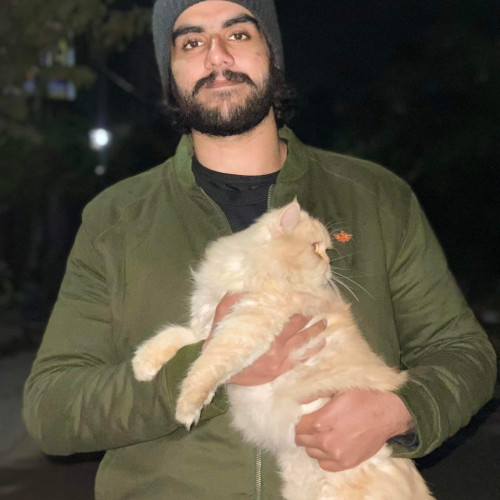 Usama M. profile photo