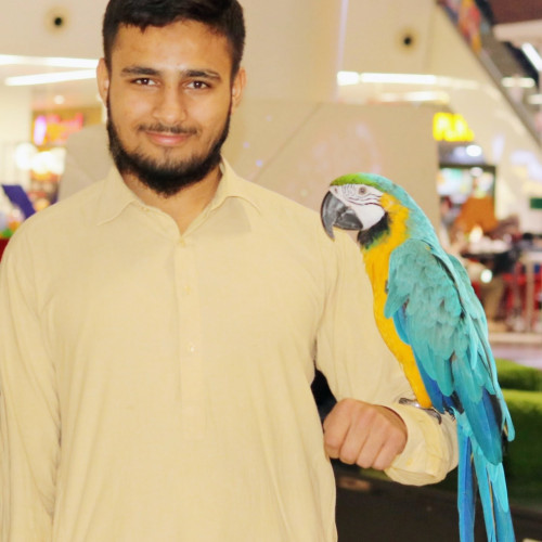 Dawood  A. profile photo