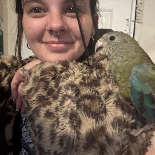 Kelsi T. profile photo