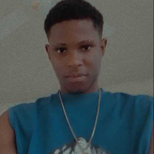 Nwausia P. profile photo