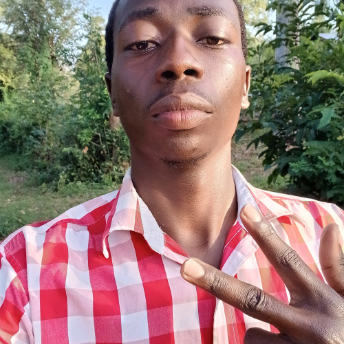 Phelix  O. profile photo