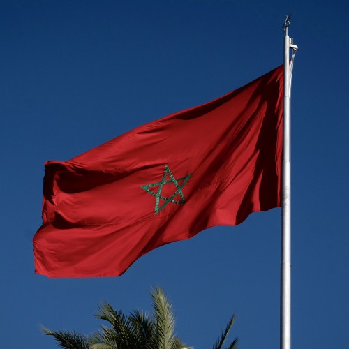 Yassine O. profile photo