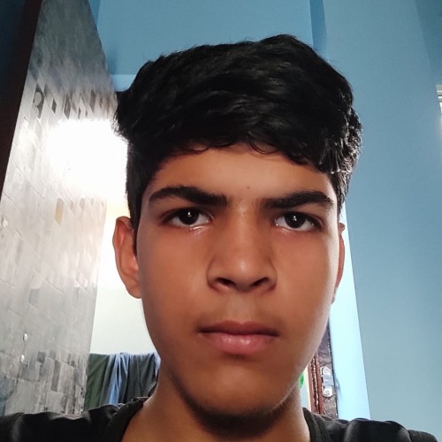 Himanshu R.