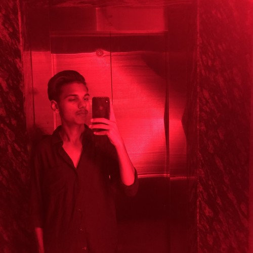 Biswajit  R.