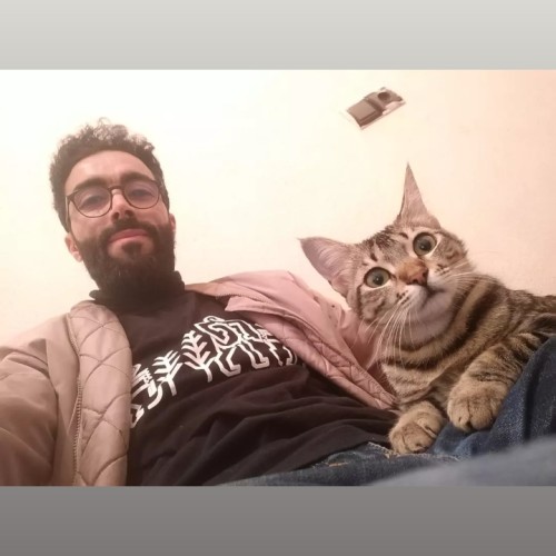 Ahmed A. profile photo
