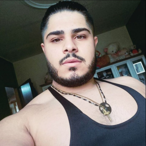 hamidreza f. profile photo