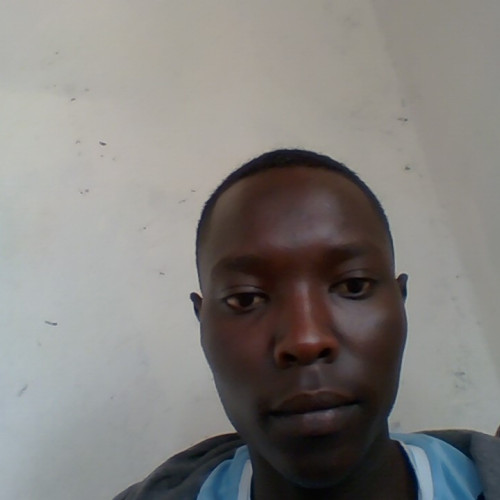 soloo n. profile photo