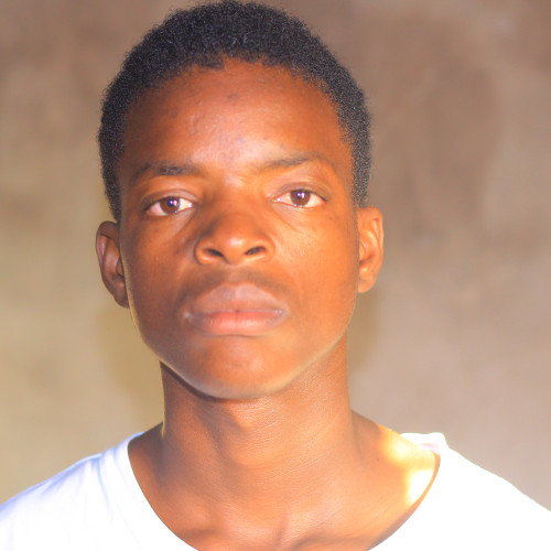 frank t. profile photo
