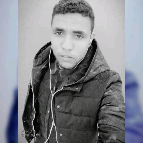 Najeeb N. profile photo