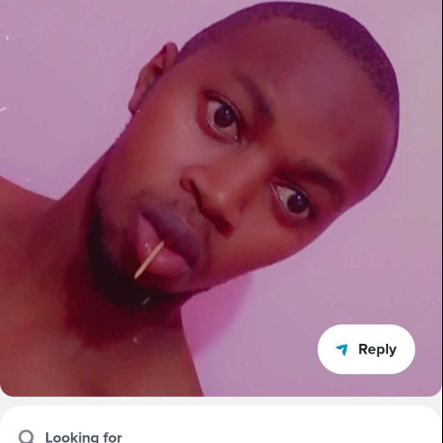 miles M. profile photo