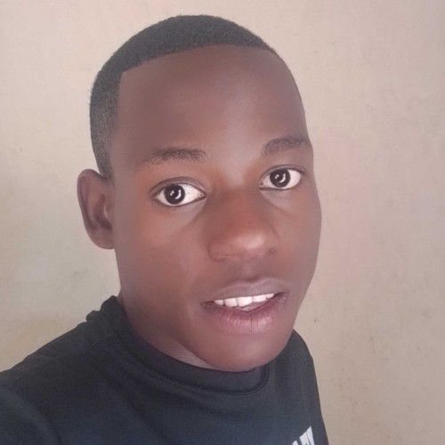 Panashe M. profile photo