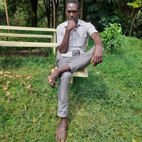 David N. profile photo