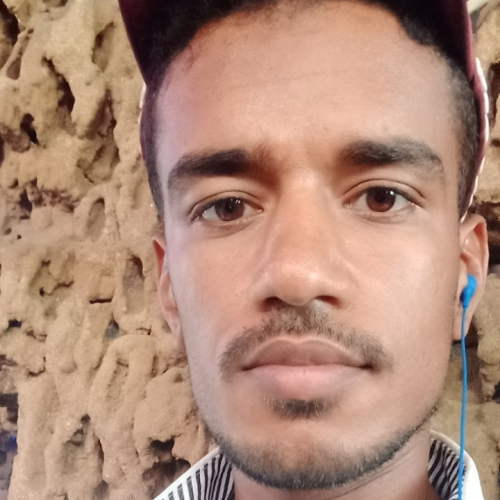 Boukhari D. profile photo