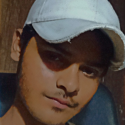 Zeeshan H.