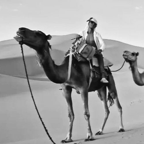 Mourad E. profile photo