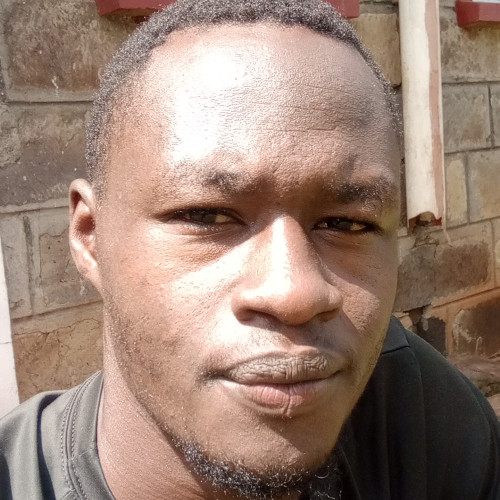 Evans K. profile photo