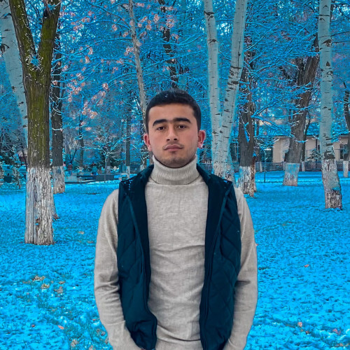 Shakhzodkhon  M. profile photo