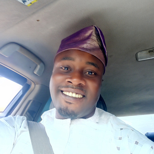Olasunkanmi V. profile photo