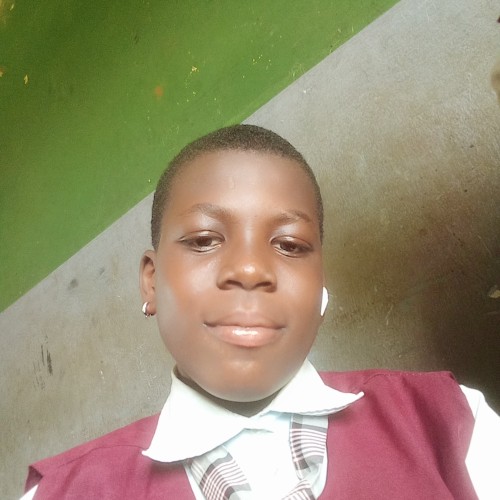 Ajiboye  F. profile photo