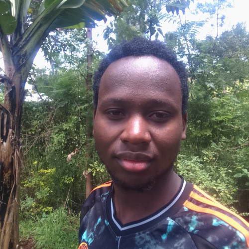 Dennis O. profile photo