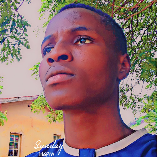 Damilare F. profile photo