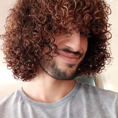 abdelhamid  l.