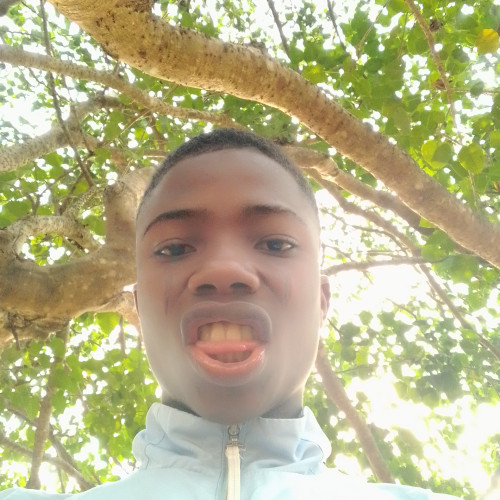 Sadiku O. profile photo