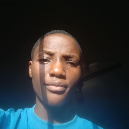 Adegboro  T. profile photo