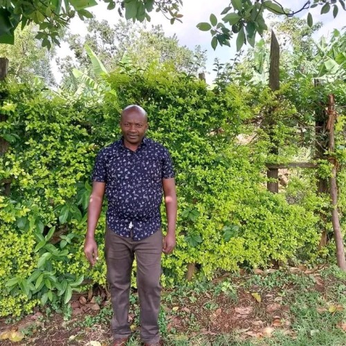 Amos M. profile photo