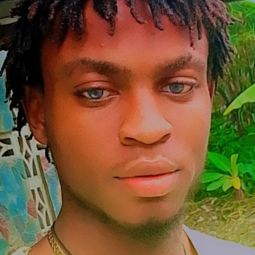 Dimi J. profile photo