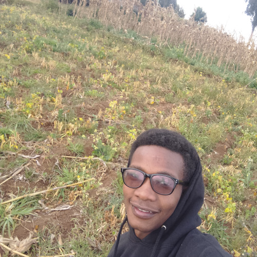 Ben N. profile photo