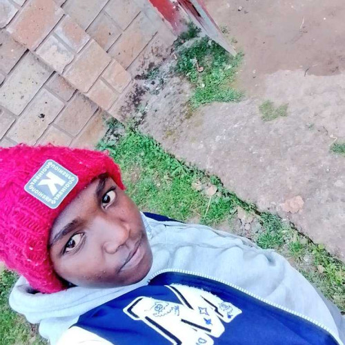 Hezeh M. profile photo