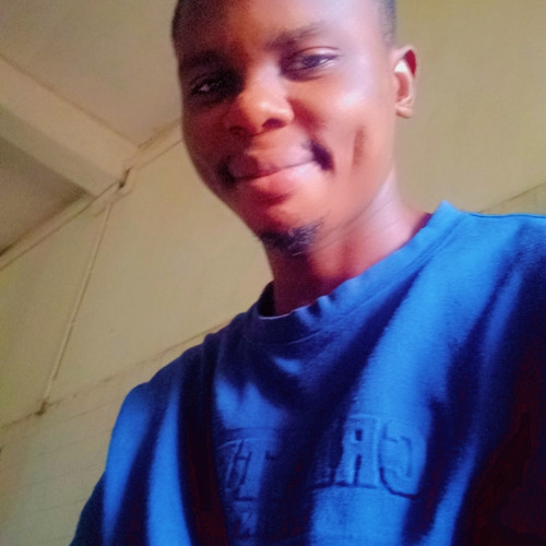 Iluyemi M. profile photo