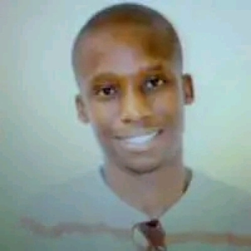 Sedi M. profile photo