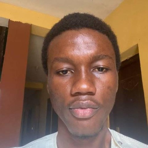 akinyemi p. profile photo