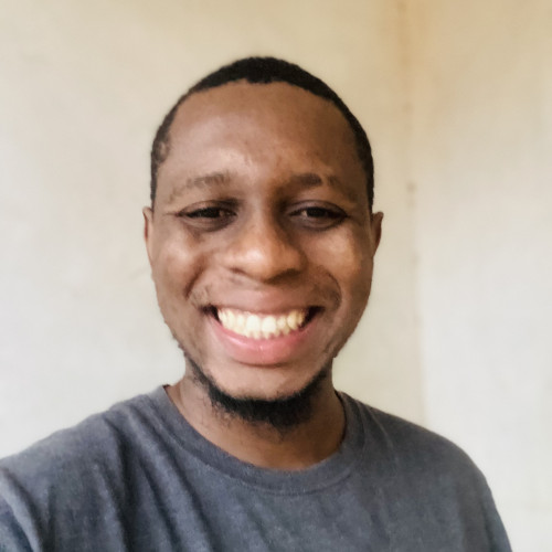 Dalitso N. profile photo