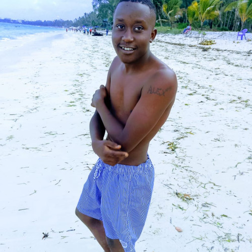 Alex K. profile photo