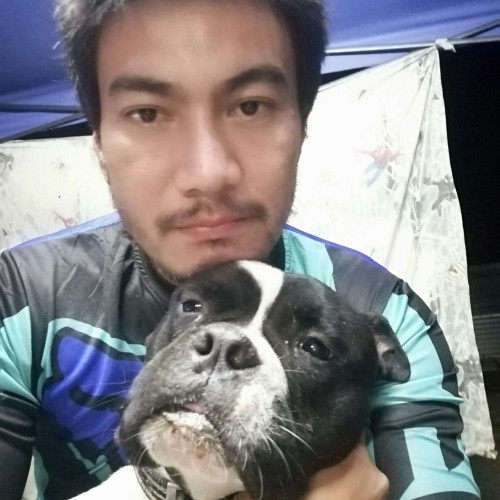 Loui S. profile photo
