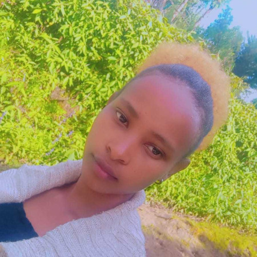 Gladys N. profile photo