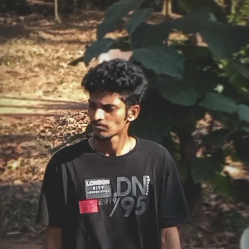 Kasi N. profile photo
