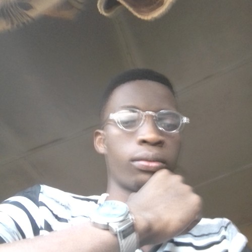 Ayoola  S. profile photo