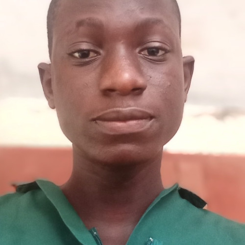 Bolaji  M. profile photo