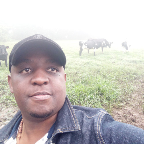dickson S. profile photo