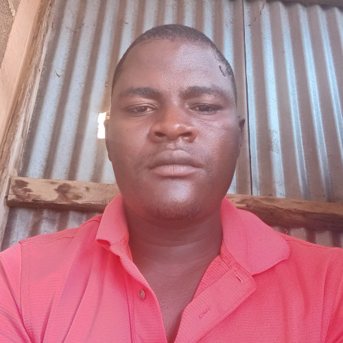 dominic o. profile photo