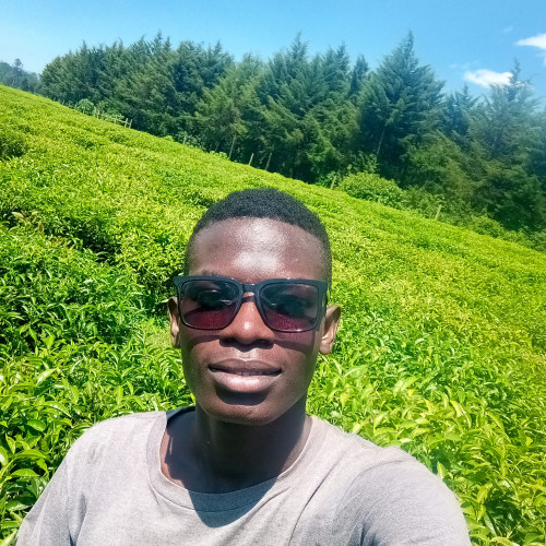 Ken S. profile photo