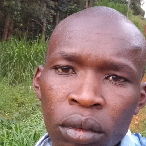 robert g. profile photo