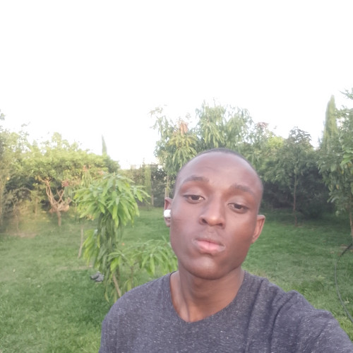 Mike M. profile photo