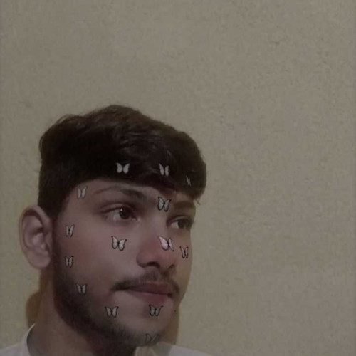 Ankit s.