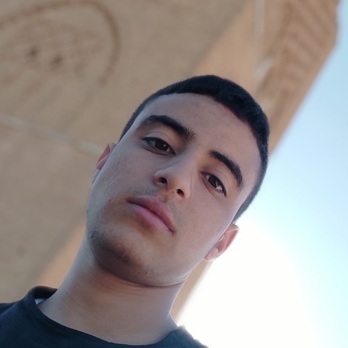 ayoub s.